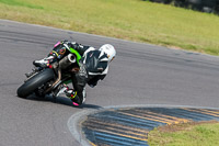 PJ-Motorsport-2019;anglesey-no-limits-trackday;anglesey-photographs;anglesey-trackday-photographs;enduro-digital-images;event-digital-images;eventdigitalimages;no-limits-trackdays;peter-wileman-photography;racing-digital-images;trac-mon;trackday-digital-images;trackday-photos;ty-croes